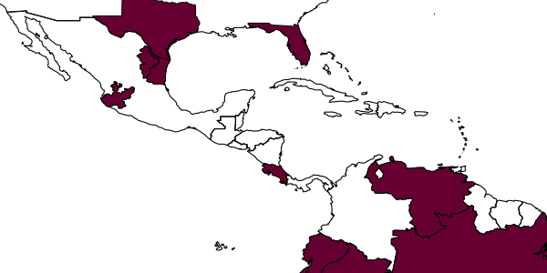 map of Brachycyrtus pretiosus     Cushman, 1936